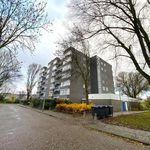 Rent 2 bedroom apartment of 65 m² in Hoofddorp