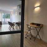 Rent 1 bedroom apartment of 55 m² in Seville