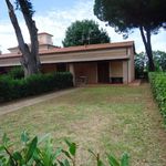 Affitto 3 camera casa di 70 m² in Rosignano Marittimo
