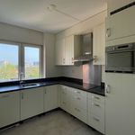 Rent 2 bedroom apartment of 44 m² in Amersfoort