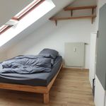 Miete 2 Schlafzimmer wohnung von 60 m² in Dresden