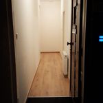 Rent 1 bedroom apartment of 63 m² in Delft