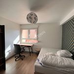 Rent 1 bedroom apartment of 65 m² in NANCY