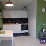 Wynajmij 1 sypialnię apartament z 32 m² w Bydgoszcz