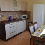 Rent 2 bedroom apartment of 70 m² in Provodov-Šonov