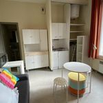 Appartement de 16 m² avec 1 chambre(s) en location à Saint Martin D Heres