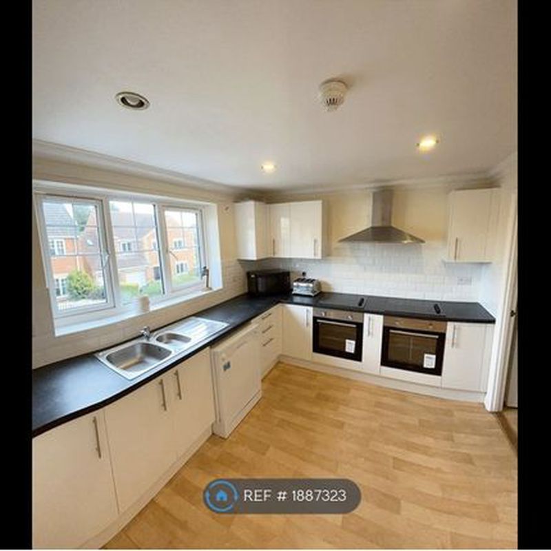 Detached house to rent in Chestnut Hill, Norwich NR4 Eaton
