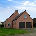 Rent 3 bedroom house of 740 m² in Grimbergen