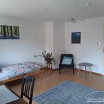 Rent 3 bedroom apartment of 90 m² in Braunschweig