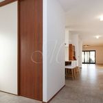 Rent 1 bedroom apartment of 150 m² in Milhostov