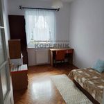 Rent 1 bedroom apartment of 50 m² in Toruń