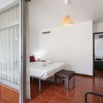 Alugar 1 quarto apartamento de 37 m² em Portimão