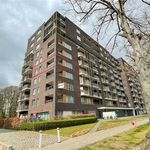 Rent 1 bedroom apartment in Mortsel