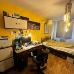 Rent 2 bedroom apartment of 55 m² in München