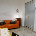 Rent a room of 60 m² in Firenze