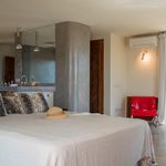 Rent 4 bedroom house of 450 m² in Sant Josep de sa Talaia