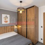 Wynajmij 2 sypialnię apartament z 43 m² w Opole