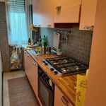Rent 2 bedroom apartment of 50 m² in Settimo Milanese