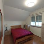 Rent 6 bedroom house of 153 m² in Berndorf