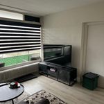 Rent 2 bedroom apartment of 81 m² in Arnhem