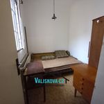 Rent 1 bedroom house of 140 m² in Kroměříž