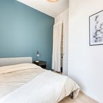 Appartement de 36 m² avec 3 chambre(s) en location à Lille