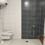 Rent 1 bedroom apartment of 31 m² in Klenovice na Hané