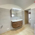 Rent 1 bedroom house in Frýdek-Místek