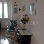 Rent 1 bedroom house of 28 m² in Frosinone