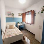 Rent 3 bedroom apartment in Castelló de la Plana