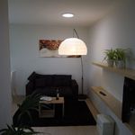 Rent 1 bedroom house of 47 m² in Zoetermeer