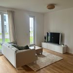 Miete 2 Schlafzimmer wohnung von 55 m² in Schönefeld