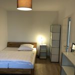 Miete 2 Schlafzimmer wohnung von 53 m² in Bremen