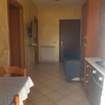 Rent 2 bedroom apartment of 47 m² in Roma