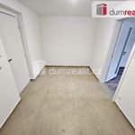 Rent 1 bedroom apartment of 46 m² in Plzeň