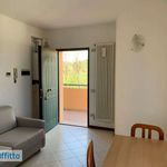 Rent 2 bedroom apartment of 50 m² in Pesaro
