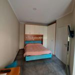 Rent 2 bedroom apartment of 50 m² in Ladispoli