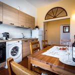 Rent 1 bedroom apartment of 38 m² in Firenze