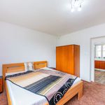 Rent 1 bedroom house of 70 m² in Hradištko