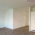 Miete 2 Schlafzimmer wohnung von 49 m² in Halle (Saale)