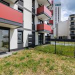 Rent 1 bedroom apartment of 30 m² in Krakow