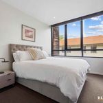 Rent 1 bedroom apartment in City