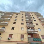 Affitto 3 camera appartamento di 80 m² in Palermo