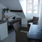 Rent 1 bedroom apartment of 10 m² in Grenoble