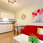 Rent 2 bedroom apartment of 31 m² in Essen