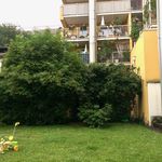 Rent 1 bedroom apartment of 40 m² in Graz