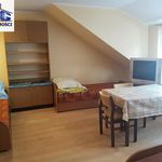 Rent 7 bedroom apartment of 188 m² in Bełchatów