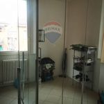 Rent 3 bedroom apartment of 85 m² in Bologna