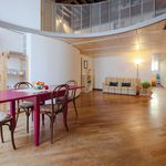 Rent 2 bedroom apartment of 120 m² in Firenze