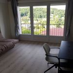Rent 1 bedroom apartment in Orsay
